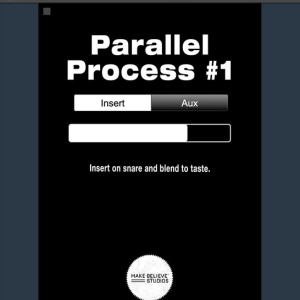 Make Believe Studios Parallel Process